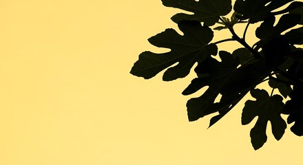 Silhouette of Fig Leaves Against a Yellowish Sky - Natures Abstract Beauty.