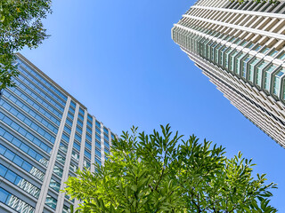 スッキリとした都心のオフィスビル