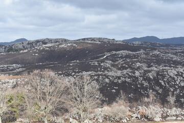 秋吉台カルスト