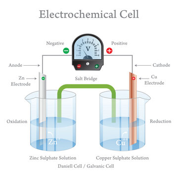Electrochemical Cell Educational Diagram of Daniell Galvanic Cell with Zinc and Copper Electrodes Salt Bridge Voltmeter and Redox Reactions.