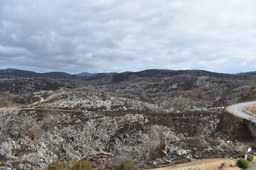 秋吉台カルスト