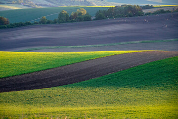 Gorgeous rural landscape with green sunny spring hills. South Moravia region, Czech Republic