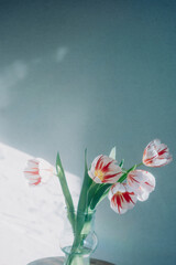 花瓶のチューリップ　ハッピーゼネレーション