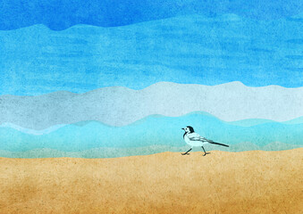 Ilustracja mały ptak spacerujący nad brzegiem morza. Hand made drawing. © Monika