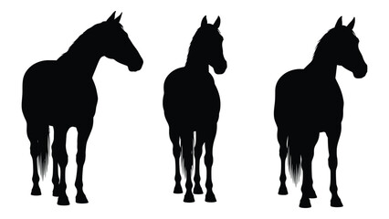 Three black silhouettes of horses in varying poses against a white background © Payara