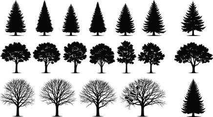 Black silhouette illustration of diverse trees, coniferous pine, deciduous leafy, bare branches, botanical design, forest landscape, seasonal nature art © Shahariay