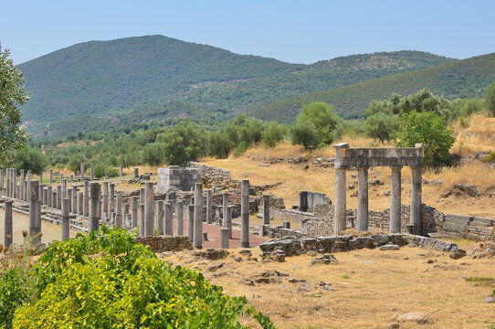 Ancient Messene archeological ruins with columns and mountains. Ancient Messene ruins showcasing historical columns, a stoa, and a temple with mountains in the background.