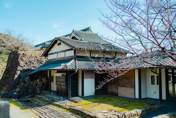 Fototapeta premium 【熊本】震災後復興中の熊本城 2026