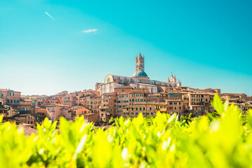 Obraz premium Beautiful old town of Siena in Italy. Tourist destination in Italy.
