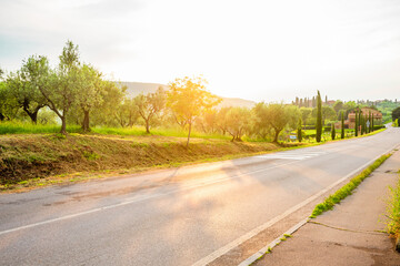 Naklejka premium View from the vineyards of the skyline of San Gimignano in Italy.