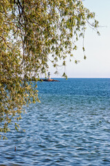 Fototapeta premium Tranquil lake with a lighthouse and overhanging lush green tree branches