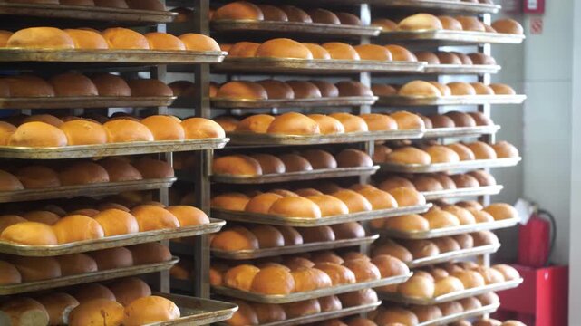 A lot of ready-made fresh bread in a bakery oven in a bakery. Bread making business. Fresh bread from cereals with seeds from a bakery. Healthy and nutritious food. The product contains carbohydrates.