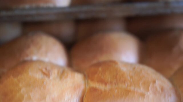 A lot of ready-made fresh bread in a bakery oven in a bakery. Bread making business. Fresh bread from cereals with seeds from a bakery. Healthy and nutritious food. The product contains carbohydrates.