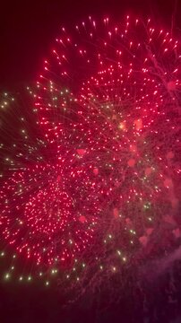 4K  fireworks for celebration background. Colourful fireworks are glowing in the night sky