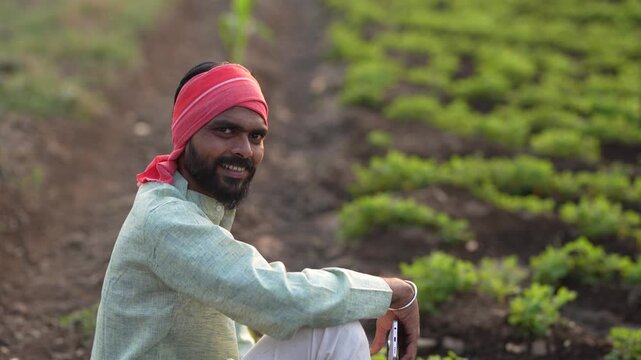 Happy indian farmer sitting at green peanut or groundnut agriculture field 
