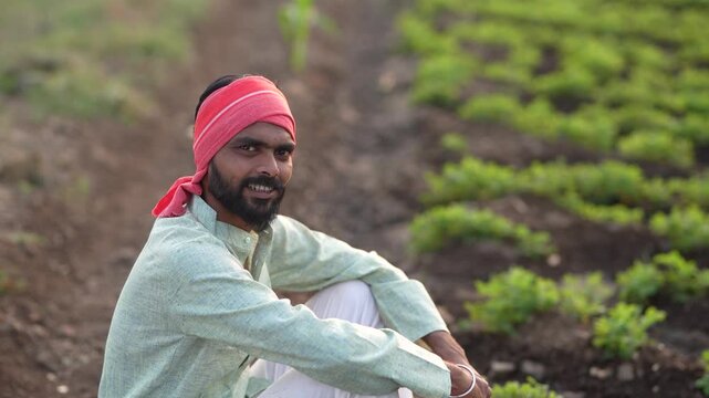 Happy indian farmer sitting at green peanut or groundnut agriculture field 