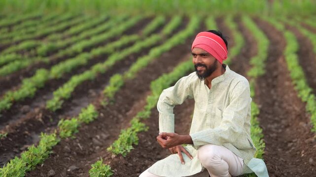 Happy indian farmer sitting at green peanut or groundnut agriculture field 