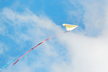Homemade electric model airplanes flying in the sky © 亮亮 徐