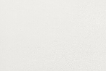 genuine leather texture. white cloud dancer uniform pastel background