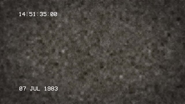 Vintage Gray VHS Screen Static With July 1983 Date And Timecode 4K