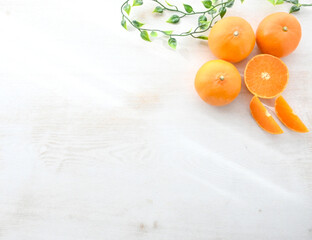 Cute Citrus Fruit Background with Copy Space