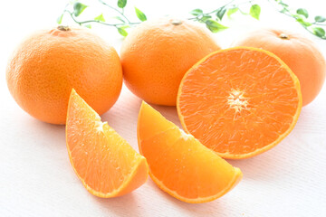 高級柑橘せとかの果肉クローズアップ