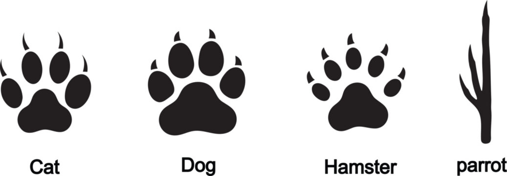 Pet paw print silhouettes. Cat, dog, hamster and bird claw track icons. Solid black animal footprint symbols.