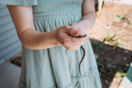 Closeup of person holding small garter snake in garden