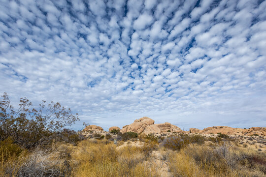 Wide Desert Landscape and Clouds in Joshua Tree National Park