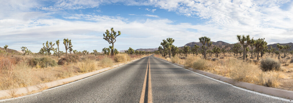 Panorama of a roadway in Joshua Tree National Park