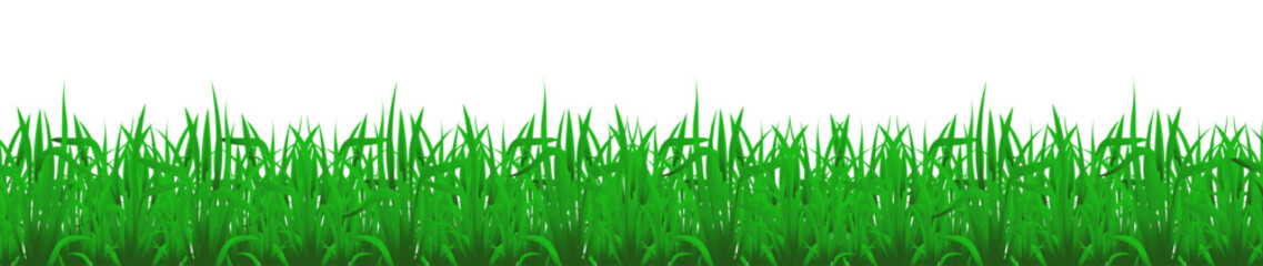 Fototapeta premium Green grass border isolated on transparent background.