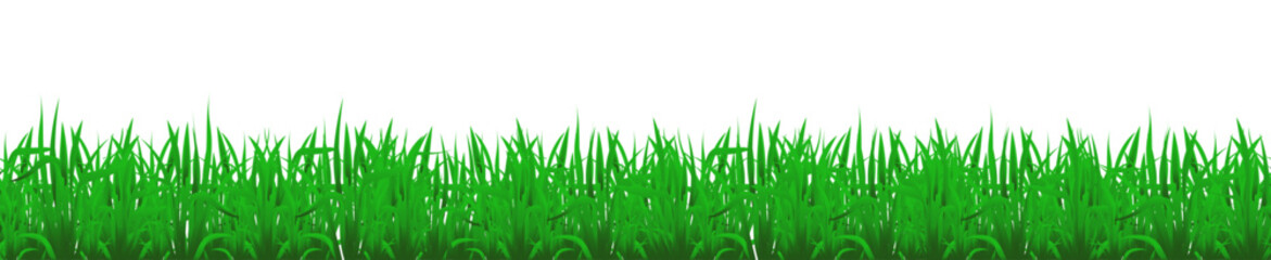 Fototapeta premium Green grass border isolated on transparent background.
