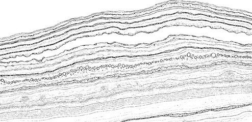 Detailed scientific illustration of geological strata, rock layers, and fossil evidence © plustration