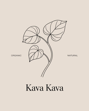 Kava Kava Botanical Line Art Logo &ndash; Organic Herbal Plant Illustration
