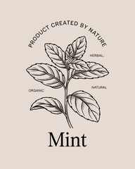 Organic Mint Herbal Logo – Botanical Leaf Illustration Natural Product Badge Design © NajmulHussain