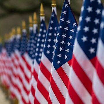 A Sea of Stars and Stripes