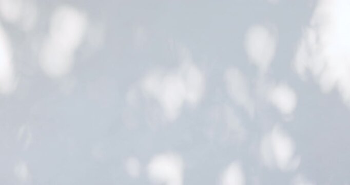 Soft tree shadow and sunlight reflections on light surface, gentle natural movement creating calm and minimal atmosphere. Ideal for background, relaxation and abstract concepts