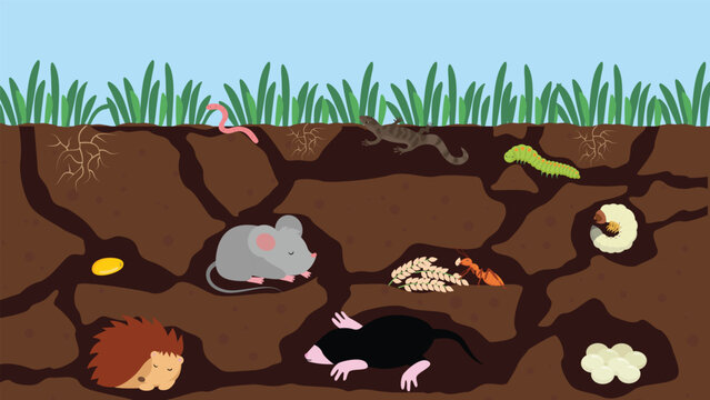 Mouse and rat living in the soil. Cute cartoon vector illustration.