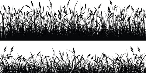 Black rhinoceros silhouette seamless pattern vector, wild rhino animal background, African safari repeat wallpaper, isolated mammal graphics on white background. © Mehedi