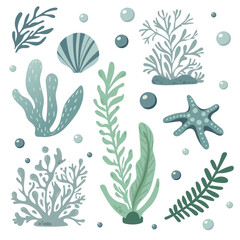 Underwater Flat vector set with seaweed, coral, shell, bubbles and starfish. Minimal ocean illustration in soft blue and green tones, perfect for kids design, fabric, packaging and marine decor.