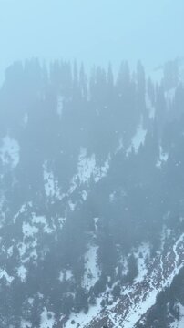 4K Vertical shot of snowfall with mountain background at Manali, Himachal Pradesh, India. Foggy, misty weather in mountains. Winter background. 