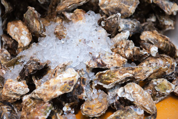 Fresh oysters on crushed ice to preserve their natural flavor and texture, featuring thick, rough shells—premium bivalve seafood ready to be served raw or cooked. © Somkiat