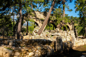 Phaselis ruined building with a tree growing through it near the coast.  Phaselis antic archeologic site in Turkey Kemer Antalya.The ancient site of Phaselis lies 58 km south of Antalya on an isthmus 