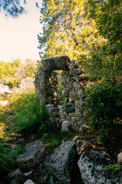 Phaselis ruined building with a tree growing through it near the coast.  Phaselis antic archeologic site in Turkey Kemer Antalya.The ancient site of Phaselis lies 58 km south of Antalya on an isthmus 