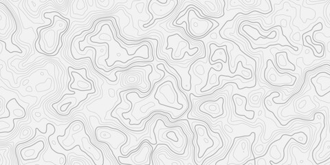 Abstract Terrain Elevation Background with Detailed Landform Contour Lines and Soft Wave Relief Structure Minimal Topographic Map Texture with Clean Modern Aesthetic Style © ALAMA