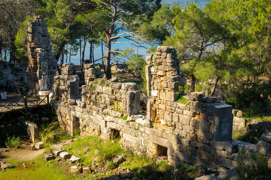 Phaselis ruined building with a tree growing through it near the coast.  Phaselis antic archeologic site in Turkey Kemer Antalya.The ancient site of Phaselis lies 58 km south of Antalya on an isthmus 