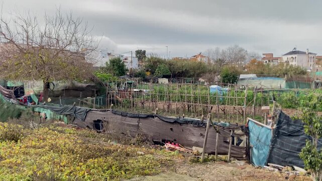 Urban periphery scene showing a rustic plot of land used for growing vegetables under an overcast sky in Sanlucar de Barrameda