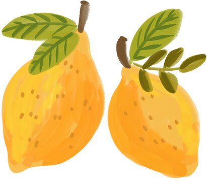 Lemon fruit hand drawn illustration 