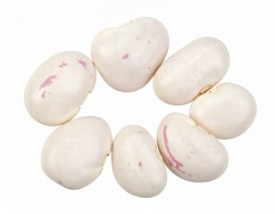 white beans isolated on white background