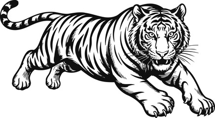 Obraz premium Black and white illustration of a fierce tiger pouncing forward in mid air, detailed wildlife drawing
